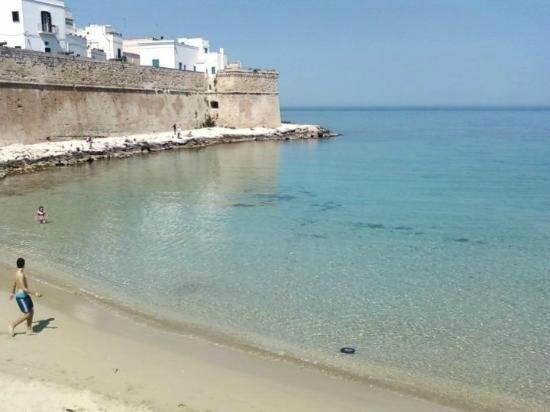 My Monopoli -Casa Dei Fiori Suite "Tulipano Nero" Centro Storico ภายนอก รูปภาพ